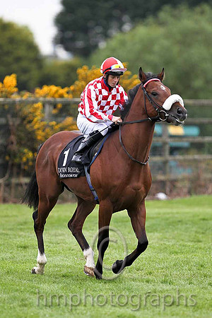 R5 -  Big Typhoon 2nd, Jockey B A Curtis - FT8E0504-e