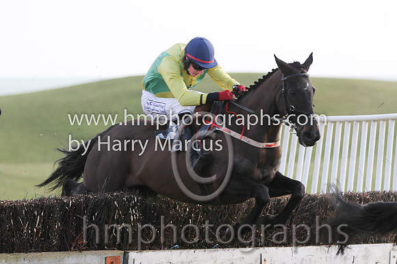 01 Mr Bolt  D H Lavery - Trainer : Sean McParlan, Black and tan check