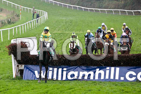 Hidden Profit , Fell - Jockey C D Maxwell in the lead - FT8E5477-e