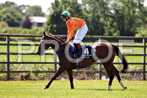 Enigma Code 8th, Jockey P O'Brien - CU2D0208-e