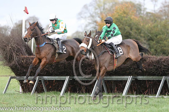 01 Mr Mountain and B O'Neill - - 01st (2 ,emerald green, orange spots ) Trainer - Donnchadh Doyle  04 Vicsaflia and Miss R Blackmore - - 04th (8 ,emerald green, black hollow box ) Trainer - Dermot McL