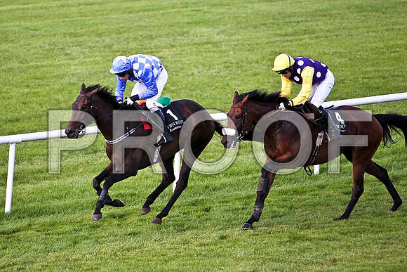 Baracas 2nd, Jockey E J O'Connell & Tijuana Dancer 3rd, Jockey Ruby Walsh - ,CU2D2034-e