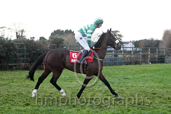 Sobrando Lodge , Jockey Mr J T Carroll - 9th - FT8E4899-e