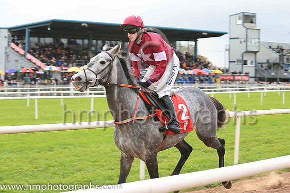 03rd Petit Mouchoir and D J Mullins ( 2 , maroon, white star, maroon cap ) Trainer - H de Bromhead , Owner - Gigginstown House Stud