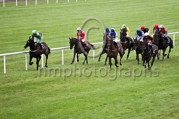 Superior Quality & M D L Queally - 8th (2, yellow & black hoops) - FT8E5453-e2