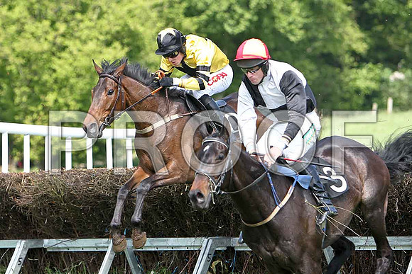 First Race - Bravo Riquet (3) 4th, Rider D O'Connor- CU2D9539-e