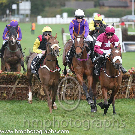 07 Tiger Roll and B J Cooper - PU - 07th (2 ,maroon white star ) Trainer - G Elliott