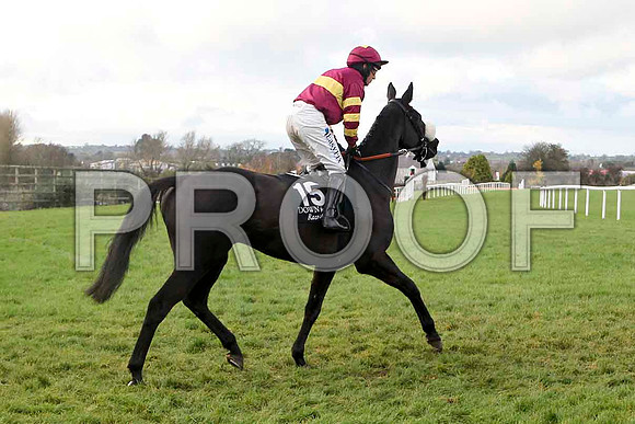 Imperial Storm , Jockey D J Condon - 2nd - FT8E4879-e