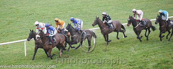 08 Sandusky and John Winston - - 08th (1 ,royal blue and white hoops ) Trainer - Gordon Elliott