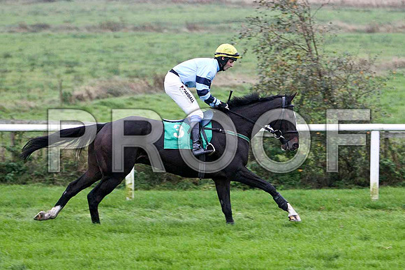 Call Box - Winner, Jockey Mr B G Crawford - FT8E5463-e