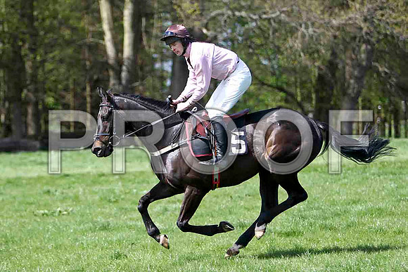 Obispo , 4th, Jockey M J O'Hare - FT8E1986-e