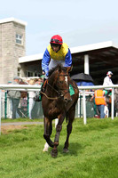 High Talk 7th, Jockey L McNiff - CU2D1733-e