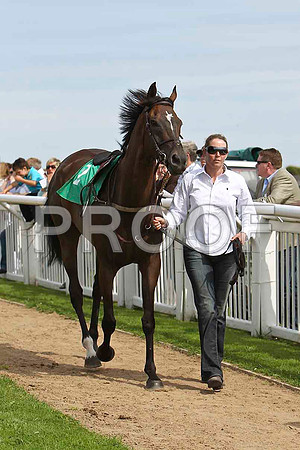 Nivek's Dream 5th, A P Thornton- CU2D1663-e