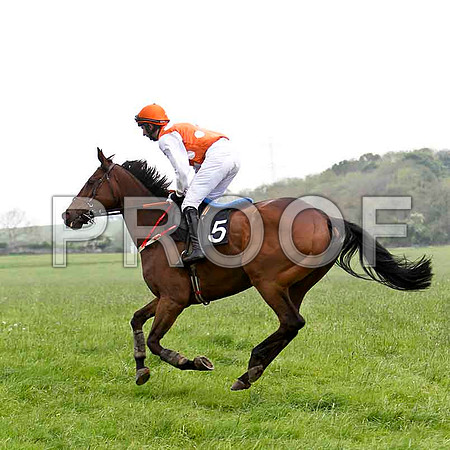 Borehovel Banker , Unplaced, Jockey A J Doyle - FT8E2470-e