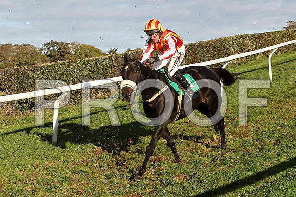 Noble Commander - Jockey R M Power - 5th - FT8E4458-e