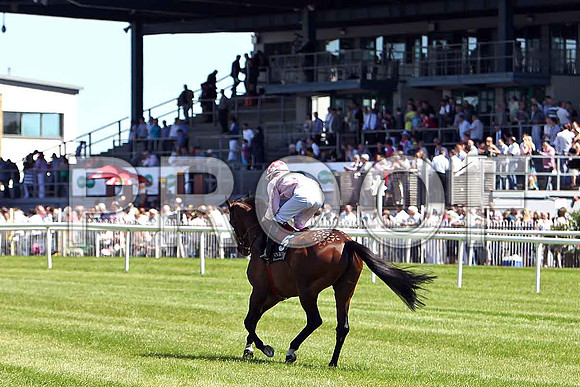 Qadar 6th, Jockey C O'Donaghue - CU2D0195-e