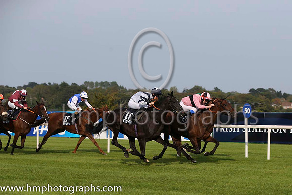 01 Toe The Line and F M Berry - - 01st (9 ,pink, black hoop ) Trainer - J E Keily
