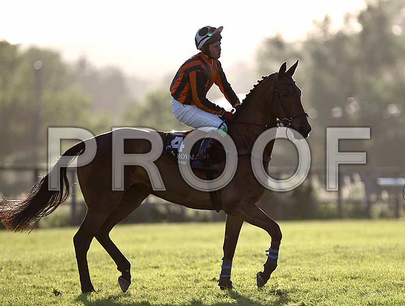 Alabama Baby 5th, Jockey Mr B F Brabazon - FT8E1085-e