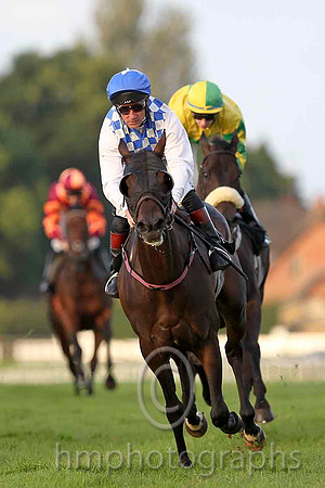 Lady Lyrath & J F Egan - 6th (15, royal blue and white check) -  CU2D3446-e