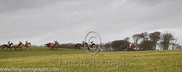 01 The Last Derby & B O'Neill - winners (11, tangerine, green chevron) - FT8E3394-5