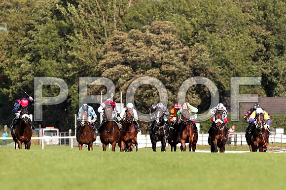 Bogini (extreme left ) in the lead - CU2D9513-e