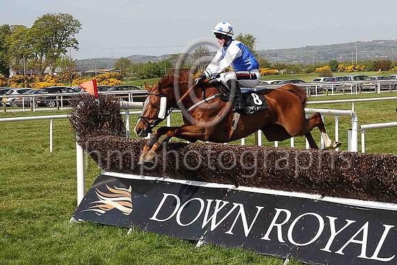 02nd Winter Lion and S W Flanagan ( 8 , royal blue, white sash ) Trainer - Matthew J Smith , Owner - B J Hooper