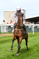 Clifton Debut 3rd, Jockey A E Lynch - CU2D1745-e