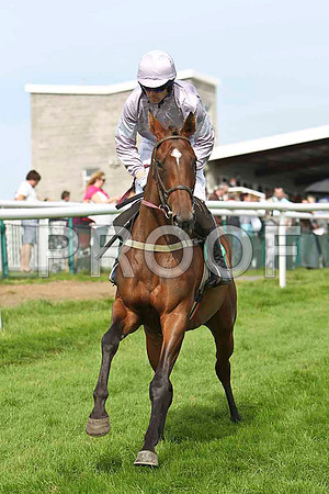 Clifton Debut 3rd, Jockey A E Lynch - CU2D1745-e