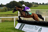 Flemenco Prince 4th, Jockey M W Bowes-FT8E2994-e
