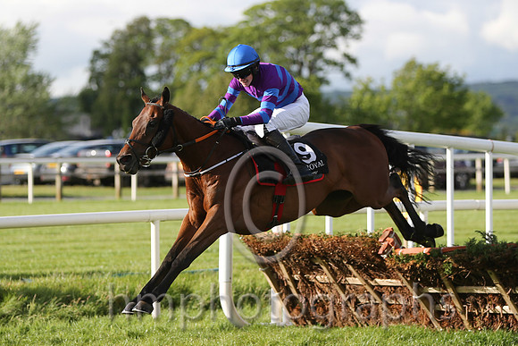 01st Mustadrik (USA) ( 19 , blue and purple hoops ) and J.W. Kennedy (7) - Trainer : Gordon Elliott - Owner : Richard Gilbert