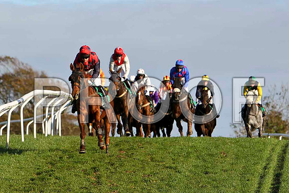 Oily Colman in the lead , Jockey M Darcy - PU - CU2D9354-e