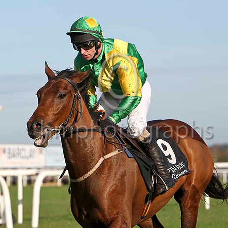 Hollymount King , 14th - Jockey T P Treacy - FT8E6455-e