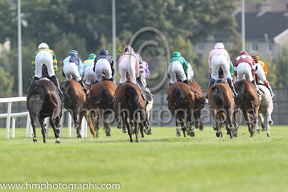The start of Race 3 at Leopardstown