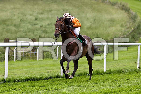 Down the Dale , Winner , Jockey T C Carroll- CU2D0783-e