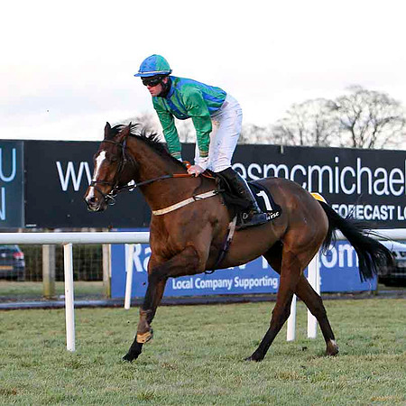 Icky 11th, Jockey Mr R P McNamara - FT8E0033-e