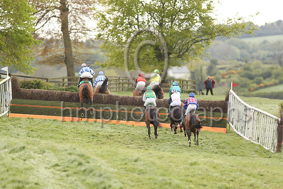 Racing at The Newry Hunt at Taylorstown