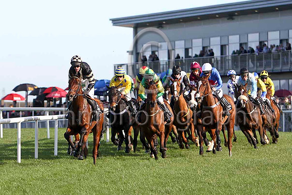 Gemara ,12th  - Jockey K Whelan in the lead -FT8E6401-e