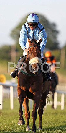 Float My Boat 5th, Jockey Mr S Crawford - FT8E1203-e