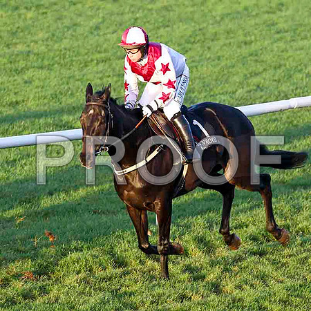 Clonbur - 5th - Jockey Mr J P McKeown - FT8E4643-e