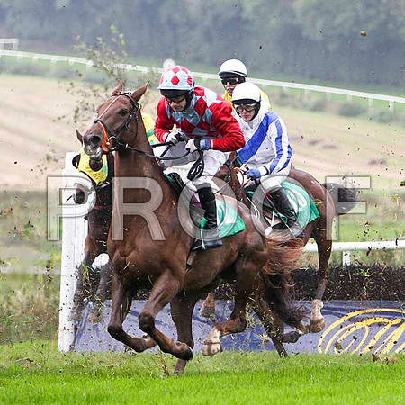Utrillo's Art , 2nd - Jockey Mr R J Kiely - FT8E5276-e