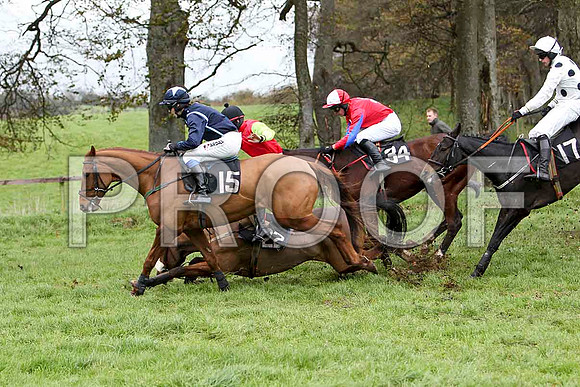 Ideal Des Cotieres, Boston Lord,  Rebels Gold & Undanta - FT8E5649-e