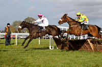 Back Off Mate & B M Cash - 7th (3, white, cyclamen sash) & Forever Gold & P T Enright - 5th (8, yellow, maroon stars)- FT8E7810-e