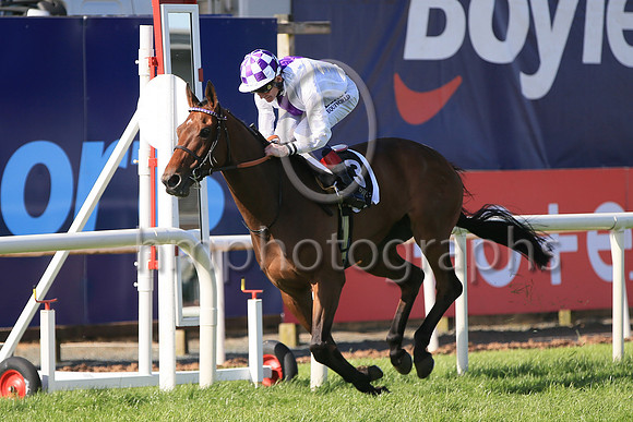 01st Dancila (3 white, purple panel ) Jockey: Kevin Manning , Trainer: J S Bolger