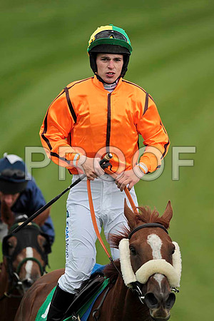 Tarwiyna - 9th, Jockey I J McCarthy  - CU2D9505-e