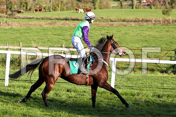 Strolling Home , Jockey P Townend - 2nd - CU2D9413-e