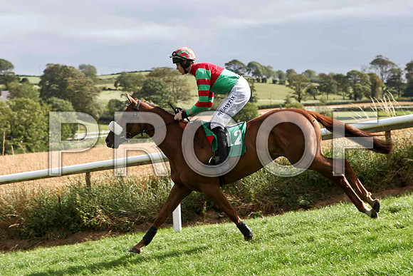 Claragh Native - Winner , Jockey Andrew J McNamara - IMG_9419-e