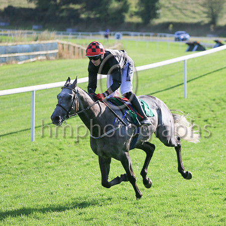 Dollar Value (2, black, black and red check cap) winners of Race 7 The DH Handicap Steeplechase.