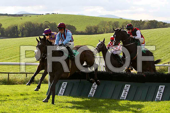 Substitute , Jockey A D Leigh  - PU - CU2D9208-e