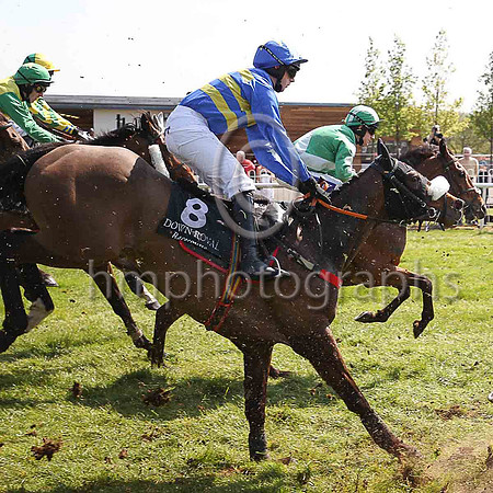 16th Intercounty Star and C D Maxwell ( 8 , royal blue, yellow hoops ) Trainer - D A McLoughlin , Owner - David Eiffe