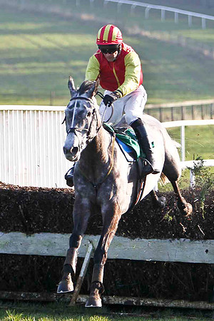 Hughies Grey Winner, Jockey M Darcy -FT8E0514-e